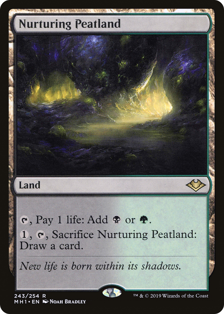MAGIC: THE GATHERING - Nurturing Peatland (MH1-243) - Modern Horizons