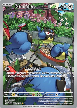 POKEMON TCG - Rookidee 225/193 SV02 Paldea Evolved - Illustration Rare