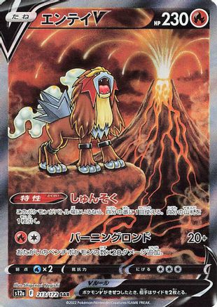 POKEMON TCG JAPANESE - Entei V 213/172/172 S12a VSTAR Universe - Special Art Rare