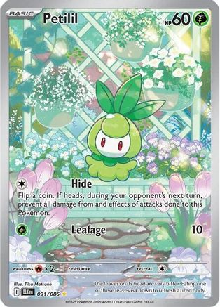 POKEMON TCG - Petilil 091/086 SV Black Bolt - Illustration Rare