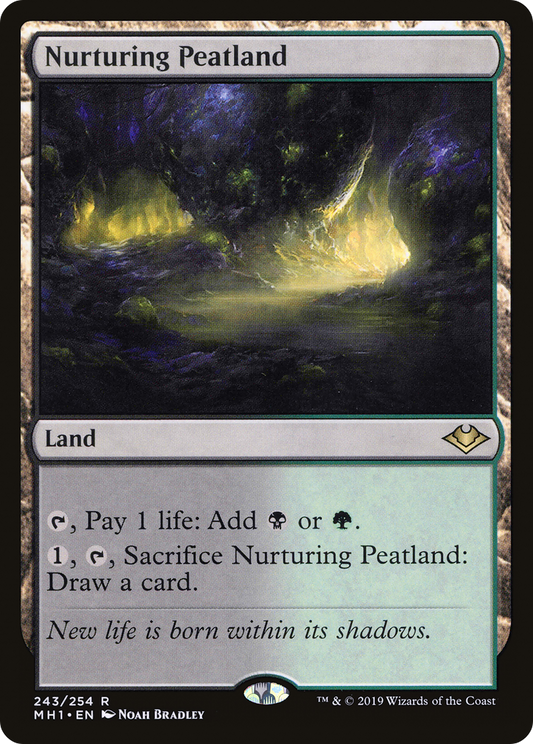 MAGIC: THE GATHERING  - Nurturing Peatland (MH1-243) - Modern Horizons Foil