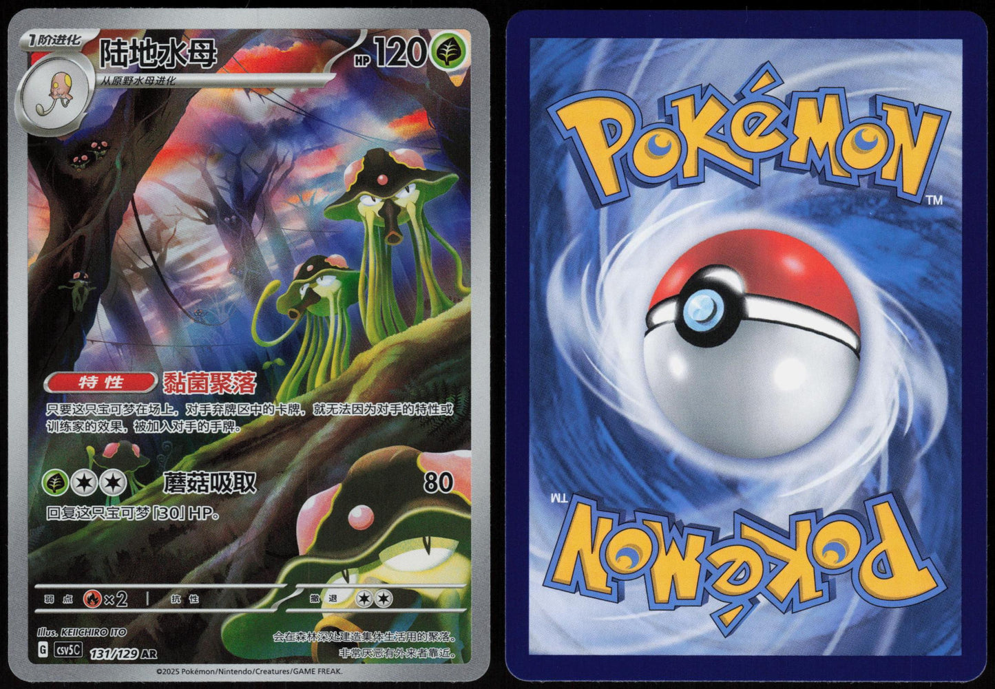 TOEDSCRUEL 131/129 DARK CRYSTAL BLAZE POKEMON CHINESE NM
