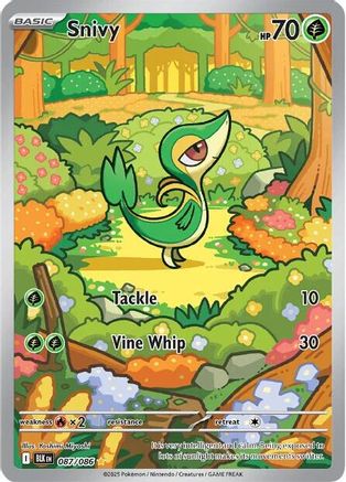 POKEMON TCG - Snivy 087/086 SV Black Bolt - Illustration Rare