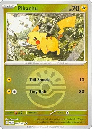 POKEMON TCG - Pikachu (Friend Ball) 055 ME Ascended Heroes - Common