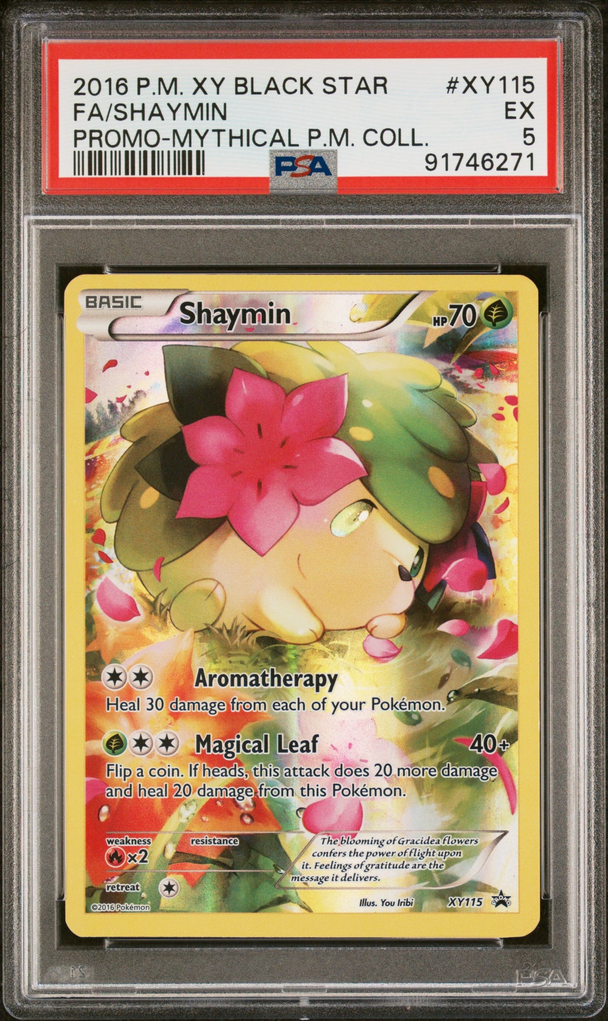 SHAYMIN XY115 PSA 5 MYTHICAL POKEMON COLLECTION BLACK STAR PROMO POKEMON