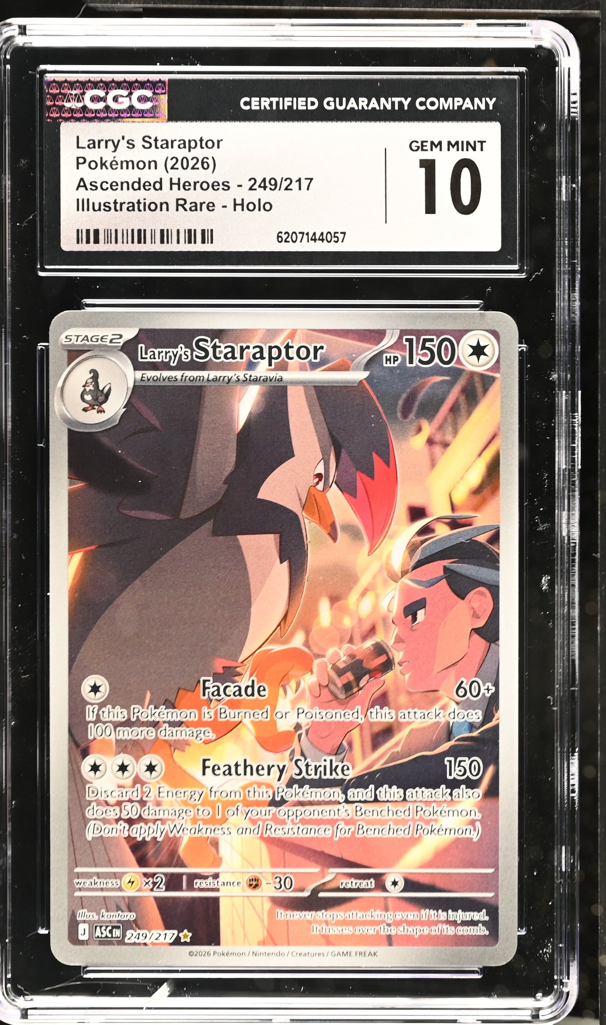LARRY'S STARAPTOR 249/217 CGC 10 ILLUSTRATION RARE HOLO ASCENDED HEROES POKEMON