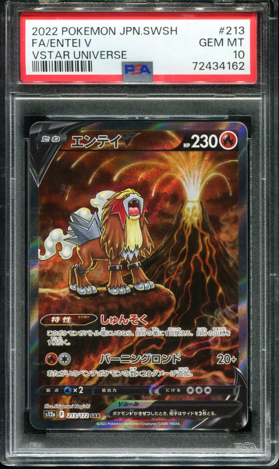 ENTEI V 213/172 PSA 10 VSTAR UNIVERSE POKEMON JAPANESE