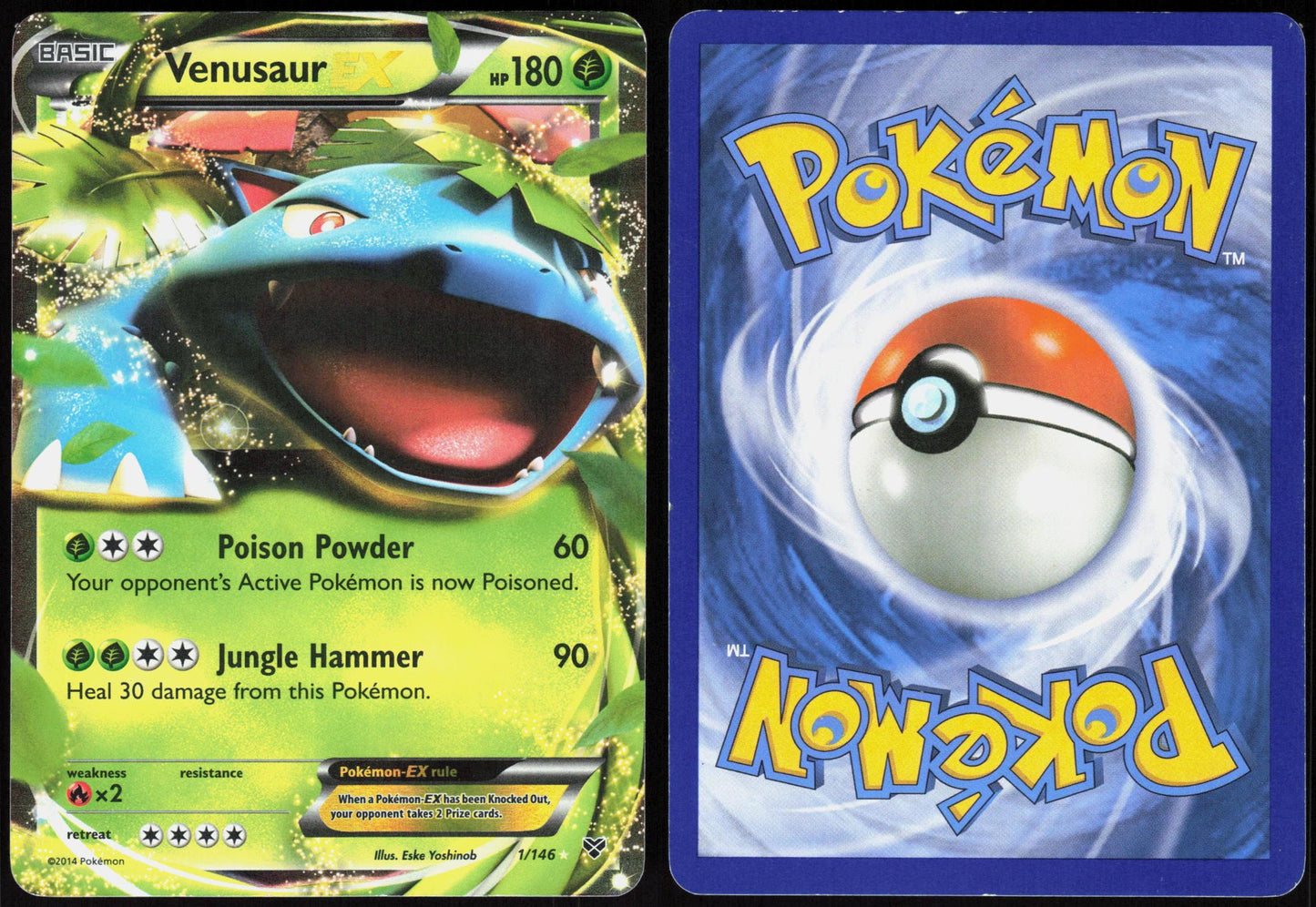 VENUSAUR EX 1/146 XY BASE SET POKEMON ULTRA RARE HOLO LP