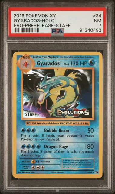 POKEMON TCG - GYARADOS STAFF PROMO 34/108 POKEMON PSA 7 EVOLUTIONS STAFF PROMO