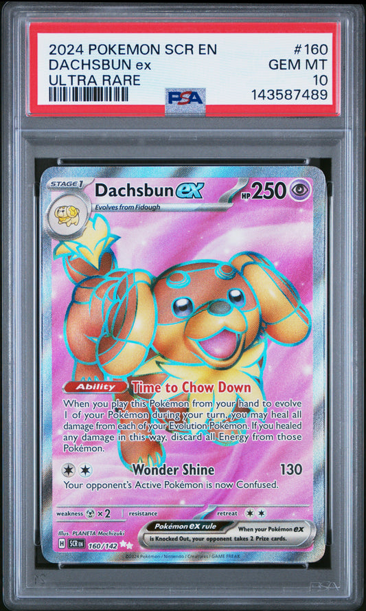 POKEMON TCG - DACHSBUN EX 160/142 PSA 10 ULTRA RARE SCR EN-STELLAR CROWN POKEMON