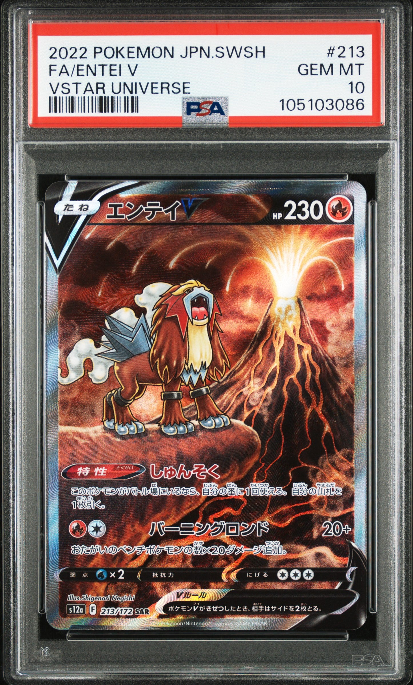 ENTEI V 213/172 PSA 10 VSTAR UNIVERSE POKEMON JAPANESE